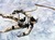 Images (1)_tiny
